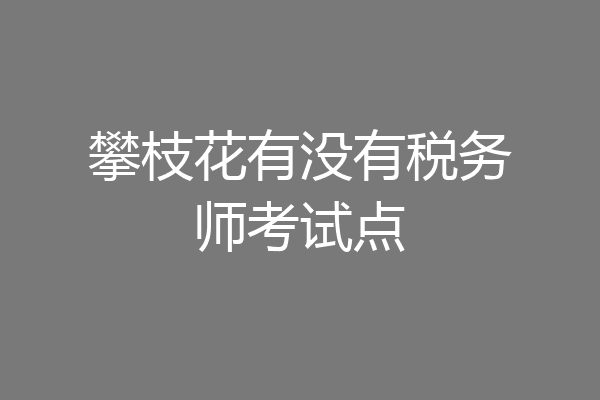 攀枝花有没有税务师考试点