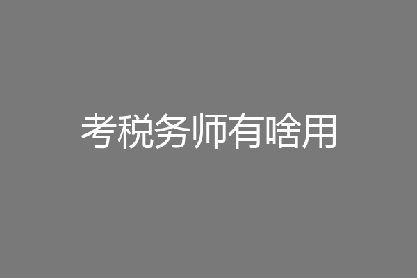 考税务师有啥用