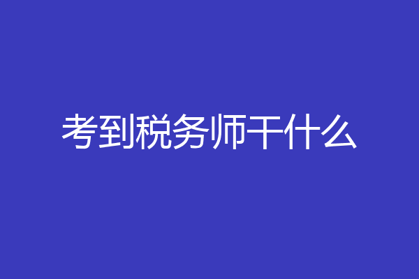 考到税务师干什么