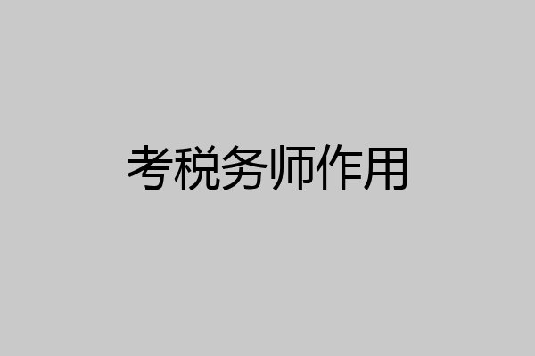 考税务师作用
