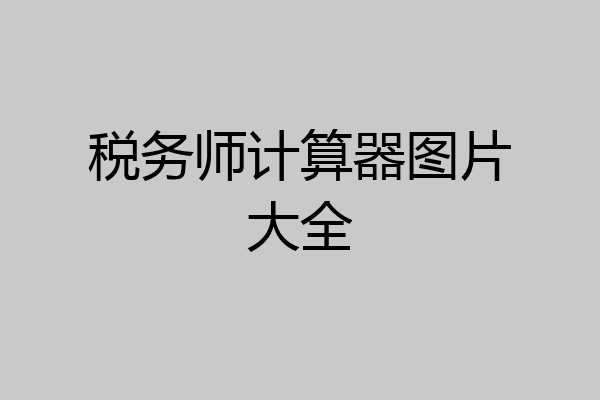 税务师计算器图片大全