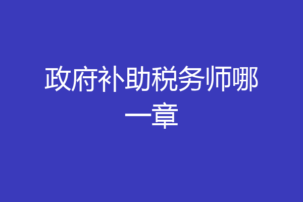 政府补助税务师哪一章