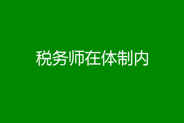 税务师在体制内