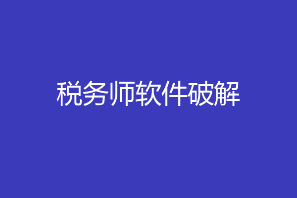 税务师软件破解