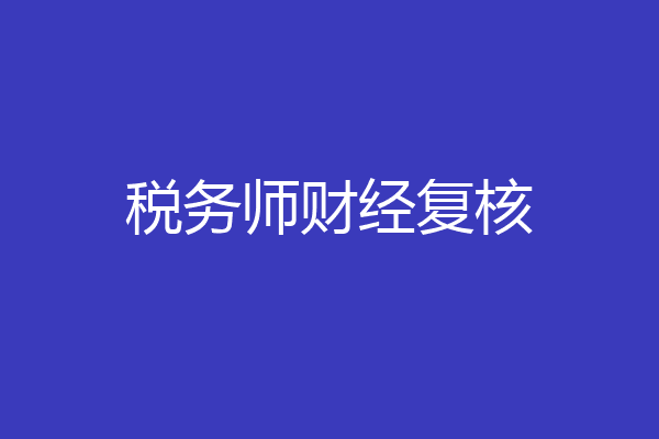 税务师财经复核