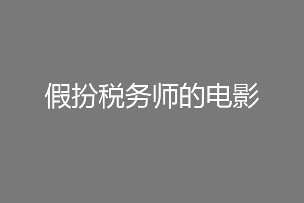 假扮税务师的电影