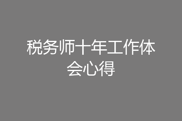 税务师十年工作体会心得