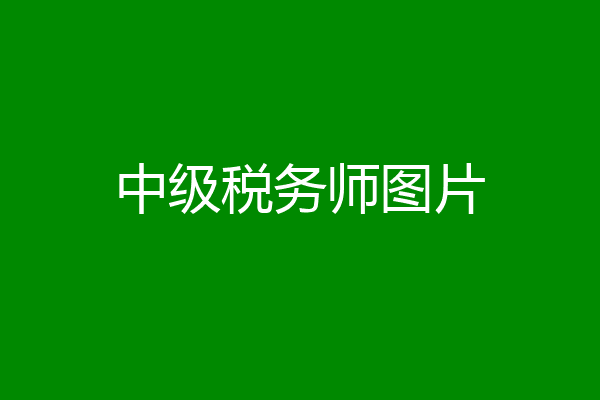 中级税务师图片