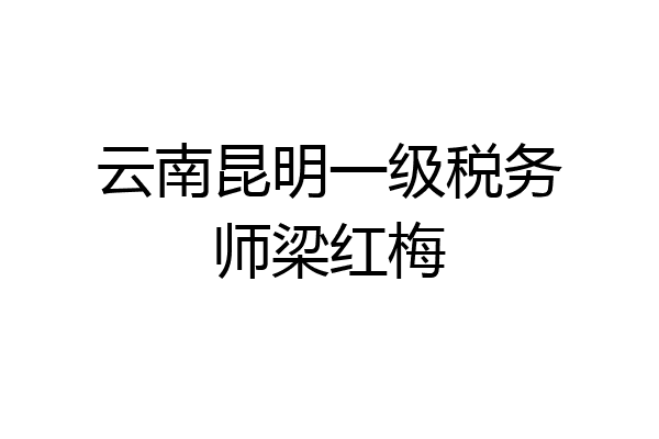 云南昆明一级税务师梁红梅