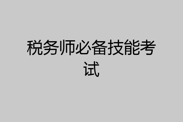 税务师必备技能考试
