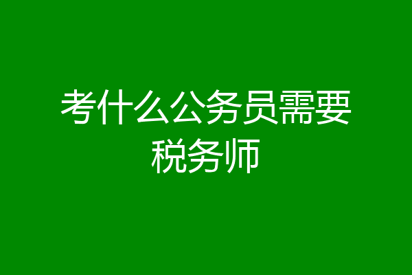 考什么公务员需要税务师