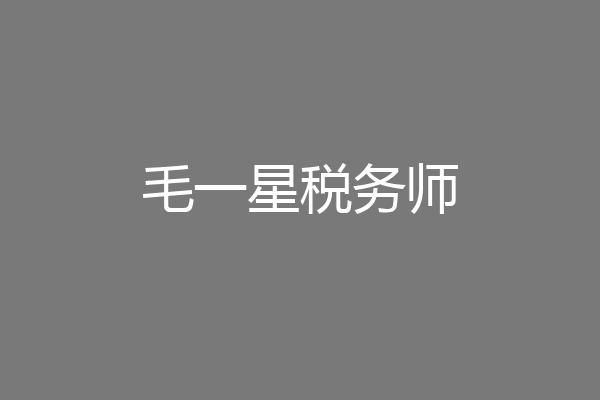 毛一星税务师