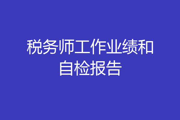 税务师工作业绩和自检报告