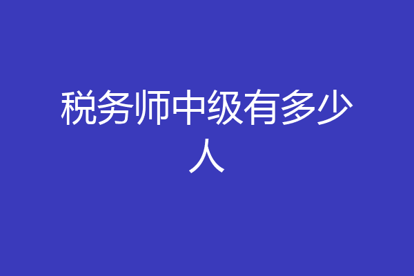 税务师中级有多少人