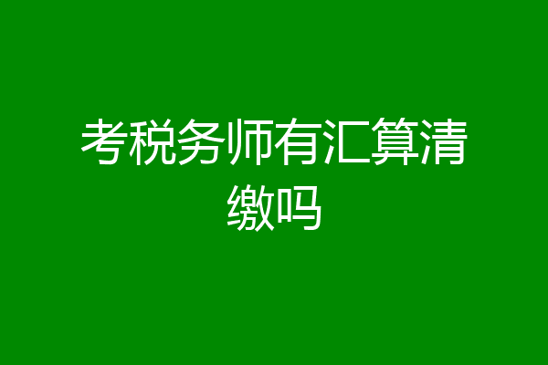 考税务师有汇算清缴吗