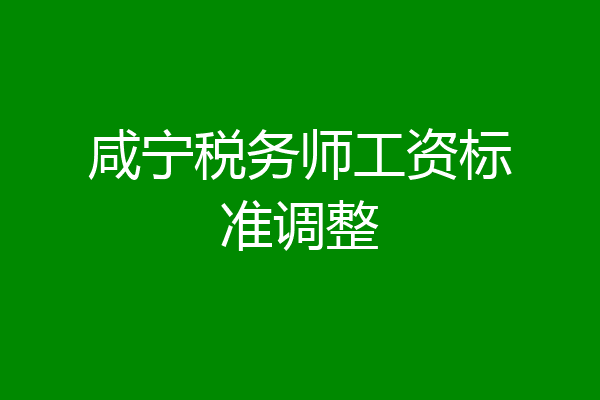 咸宁税务师工资标准调整