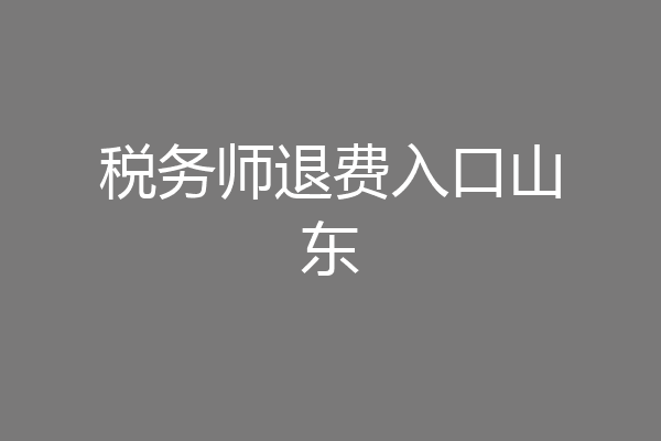 税务师退费入口山东