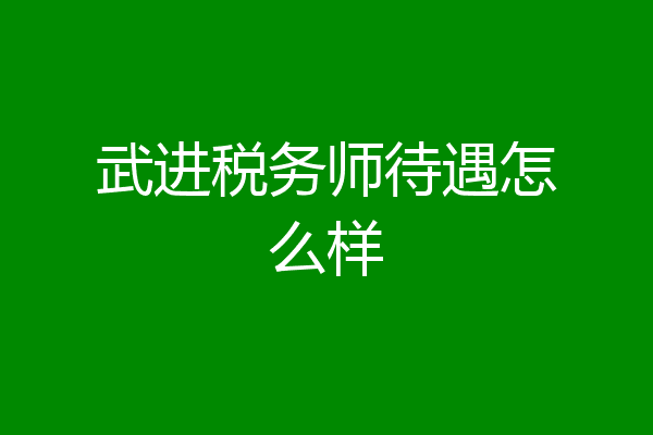 武进税务师待遇怎么样