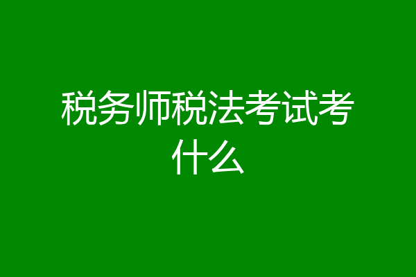 税务师税法考试考什么
