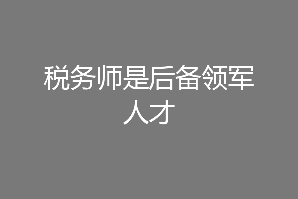 税务师是后备领军人才