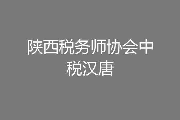陕西税务师协会中税汉唐