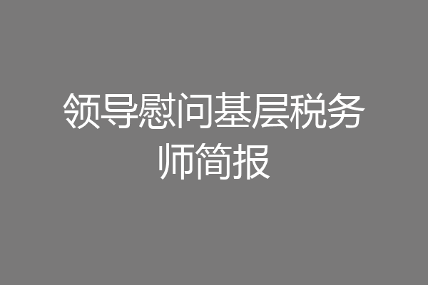 领导慰问基层税务师简报