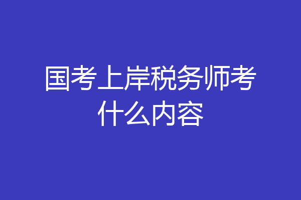 国考上岸税务师考什么内容