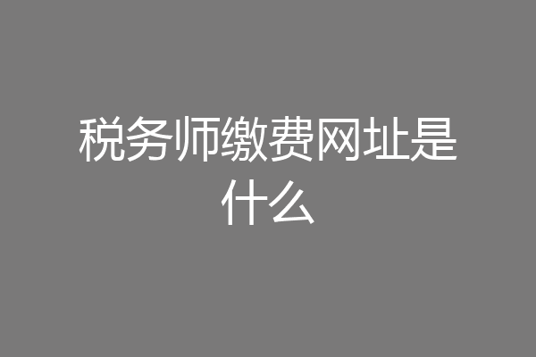 税务师缴费网址是什么