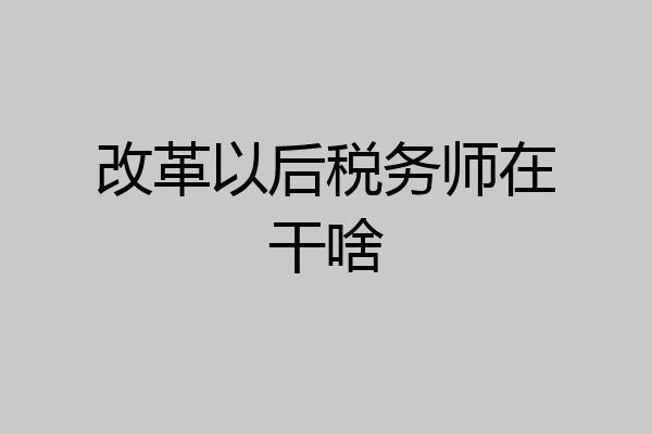 改革以后税务师在干啥