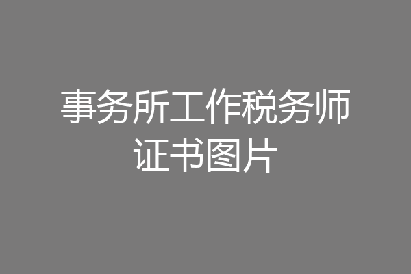事务所工作税务师证书图片