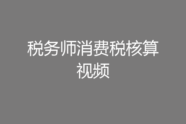 税务师消费税核算视频