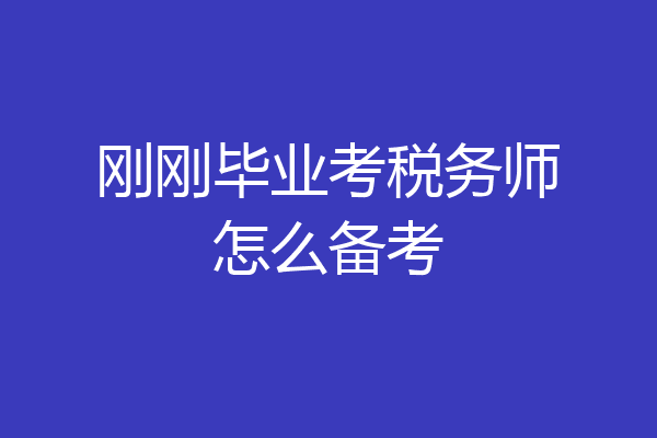 刚刚毕业考税务师怎么备考