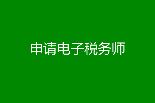 申请电子税务师