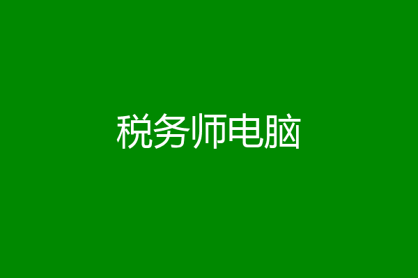 税务师电脑