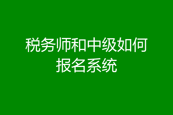 税务师和中级如何报名系统