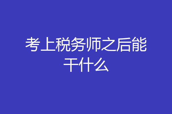 考上税务师之后能干什么
