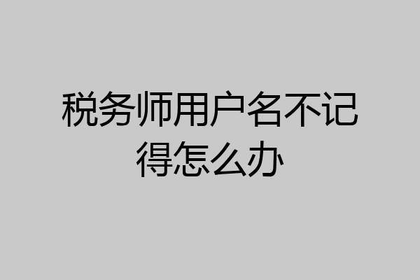 税务师用户名不记得怎么办