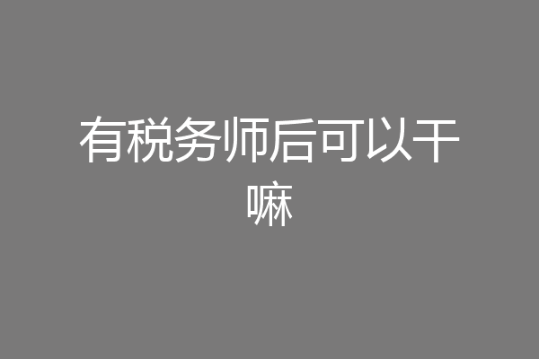 有税务师后可以干嘛