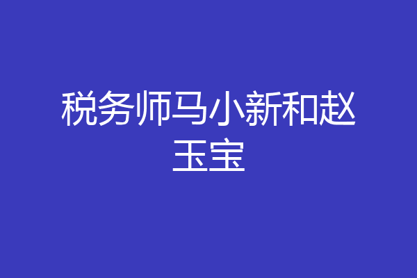 税务师马小新和赵玉宝