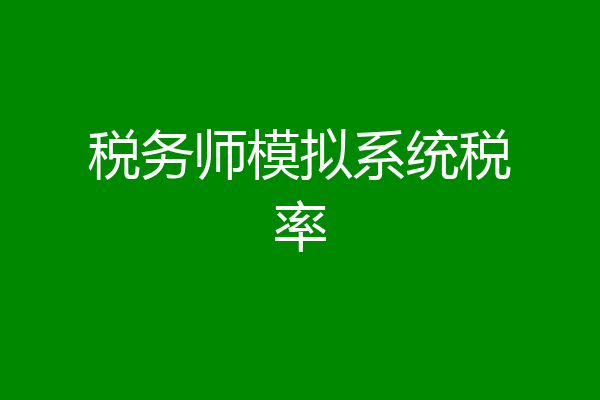 税务师模拟系统税率