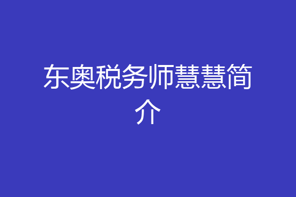 东奥税务师慧慧简介
