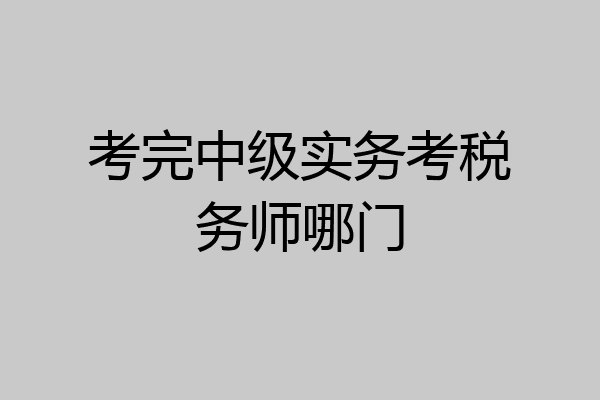 考完中级实务考税务师哪门
