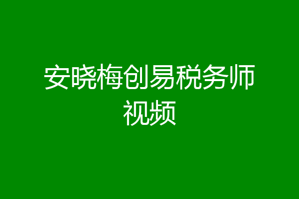 安晓梅创易税务师视频