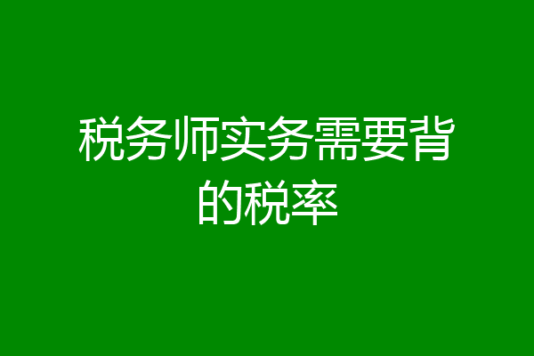税务师实务需要背的税率