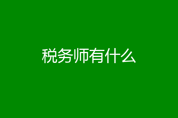 税务师有什么