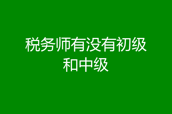 税务师有没有初级和中级