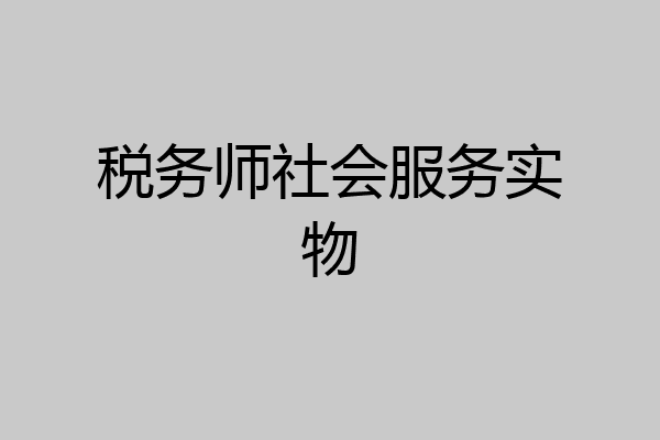 税务师社会服务实物