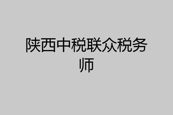陕西中税联众税务师