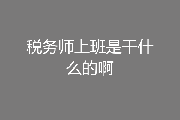 税务师上班是干什么的啊