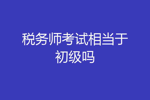 税务师考试相当于初级吗